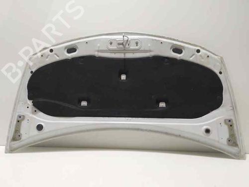 Hood RENAULT CLIO III (BR0/1, CR0/1)  | BP16254612C1 