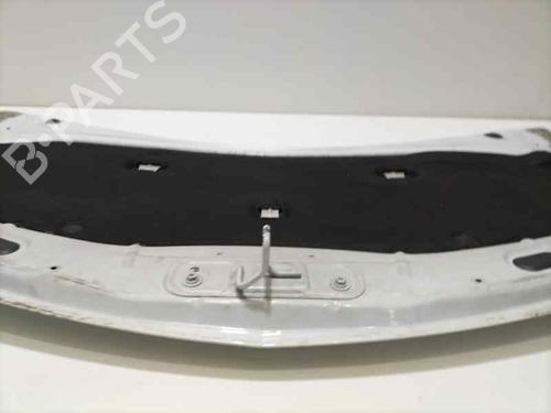 Hood RENAULT CLIO III (BR0/1, CR0/1)  | BP16254612C1 