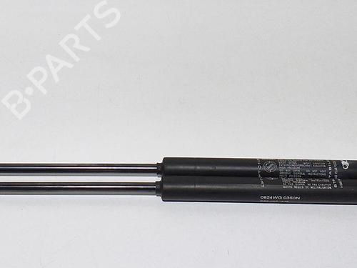 Tailgate lift support FIAT GRANDE PUNTO (199_) 1.3 D Multijet (199.AXD11, 199.AXD1A, 199.AXD1B,... | BP13965655C138 