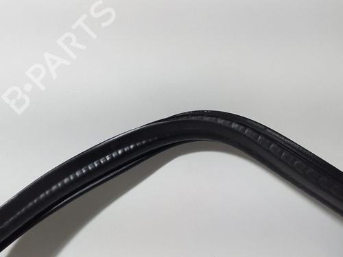 Rubber door seal NISSAN TERRANO II (R20) 2.7 TDi 4WD | BP13965319C142 