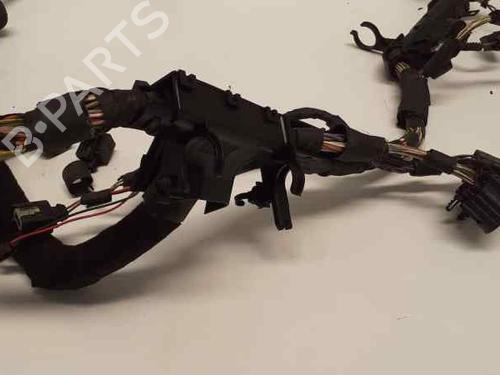 Wiring harness JAGUAR S-TYPE II (X200) 2.7 D | BP13963583E16 