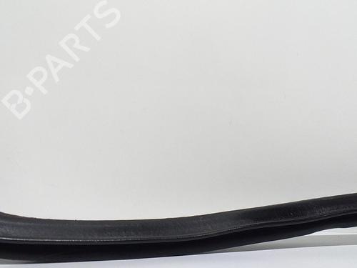 Rubber door seal NISSAN TERRANO II (R20) 2.7 TDi 4WD | BP13965319C142 