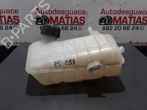 Used Expansion tank RENAULT SCÉNIC II (JM0/1_) [2003-2010]  5754589