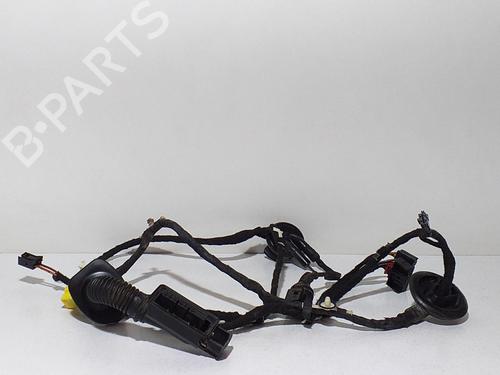 Portier links voor AUDI Q5 (8RB) 2.0 TDI quattro (170 hp) 8R0971029AB