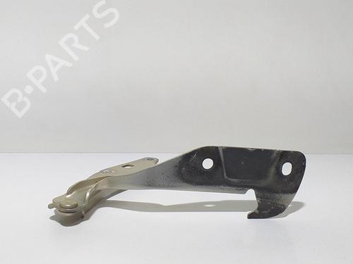 Used Hood JAGUAR S-TYPE II (X200) 2.7 D (207 hp) 9587650
