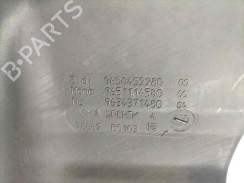 Windscreen washer tank PEUGEOT 307 Break (3E) 2.0 HDI 90 | BP16876389C113 