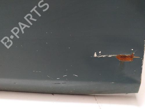 Left front door NISSAN TERRANO II (R20)  | BP12909466C2 