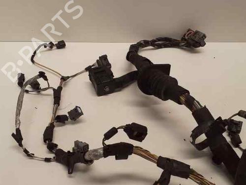 Wiring harness JAGUAR S-TYPE II (X200) 2.7 D | BP13963583E16 