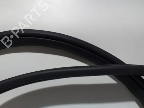 Rubber door seal JAGUAR S-TYPE II (X200) 2.7 D | BP13965249C142 