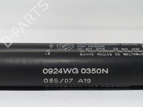 Tailgate lift support FIAT GRANDE PUNTO (199_) 1.3 D Multijet (199.AXD11, 199.AXD1A, 199.AXD1B,... | BP13965655C138 