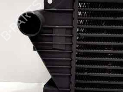 Intercooler MERCEDES-BENZ M-CLASS (W163) ML 270 CDI (163.113) | BP5888829M30 