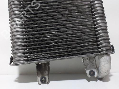 Intercooler KIA CARNIVAL II (GQ) 2.9 CRDi | BP10698180M30 