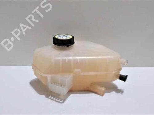 Expansion tank FORD FIESTA VI (CB1, CCN) 1.25 | BP6314726C120 