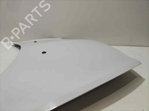 Hood RENAULT CLIO III (BR0/1, CR0/1)  | BP16254612C1 