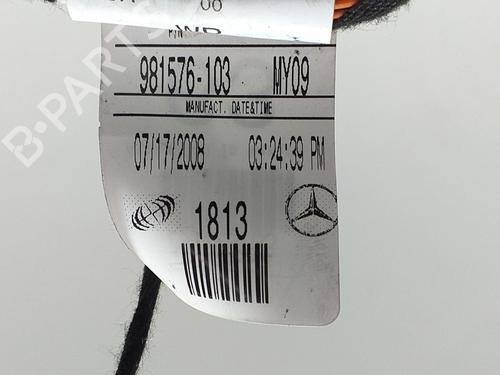 Right front door MERCEDES-BENZ R-CLASS (W251, V251) R 500 4-matic (251.072, 251.172) | BP8148401C3 