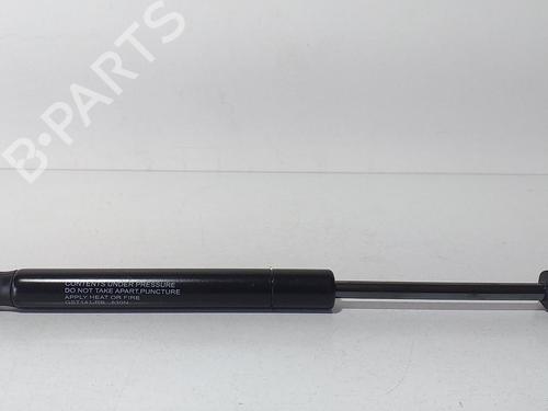 Used Tailgate lift support SEAT TOLEDO II (1M2) 1.9 TDI (110 hp) 13965831