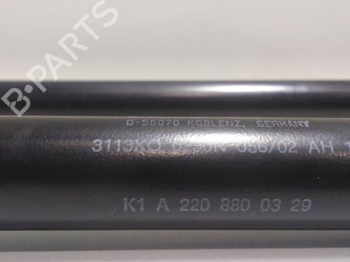 Hood lift support MERCEDES-BENZ S-CLASS (W220)  | BP13964294C139 
