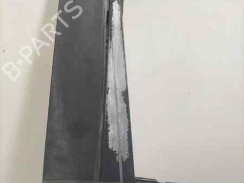Right rear door NISSAN TERRANO II (R20)  | BP17907925C5 