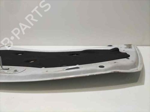 Hood RENAULT CLIO III (BR0/1, CR0/1)  | BP16254612C1 