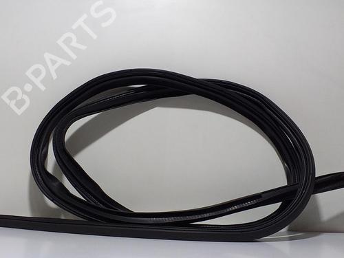 Rubber door seal MITSUBISHI OUTLANDER II (CW_W) 2.2 DI-D 4WD 4HK | 59963
