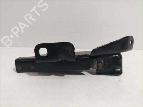 Hinge/Door check strap DACIA DOKKER MPV (KE_) 1.5 dCi (KEAJ, KEAH) | BP16131603C146 