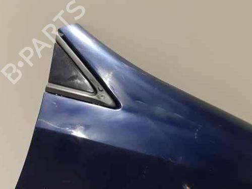 Right front fenders LANCIA PHEDRA (179_) 2.2 JTD (179AXC1A) | BP5866645C42 