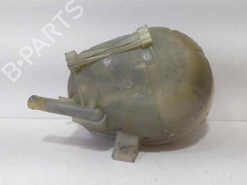 Expansion tank RENAULT MASTER II Van (FD)  | BP19931387C120 
