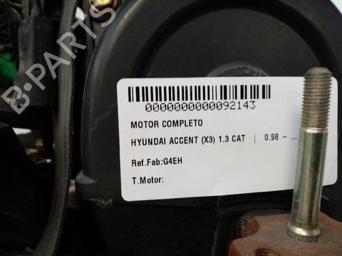 Engine HYUNDAI ACCENT I (X-3)  | BP31683825M1 