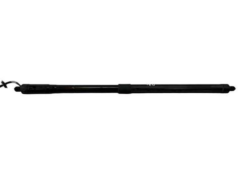 Tailgate lift support CITROËN C4 Grand Picasso II (DA_, DE_) 1.2 THP 130 | BP30635634C138