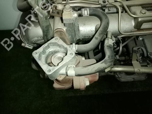 Engine NISSAN ALMERA II (N16)  | BP24225219M1  - Image 7