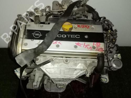 Used Engine OPEL VECTRA B (J96) [1995-2004]  31683790