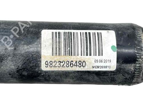 Right rear shock absorber PEUGEOT 5008 II (MC_, MJ_, MR_, M4_) 1.2 THP (MRHNYH, MRHNYW, MRHNSJ, MRHNSU, MRHNSM) | BP31869820M19