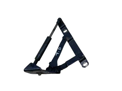 hingedoor-check-strap-porsche-boxster-987-2004-2005-2006-2007-2008-2009-2010-2011-2012-2013-33536282 main image