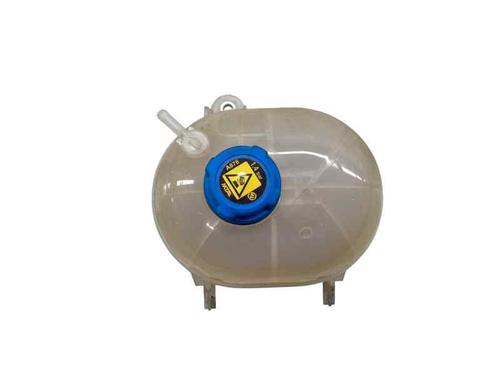 Used Expansion tank FIAT 500 (312_) 1.2 (312AXA1A) (69 hp) 29349752