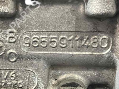 Cylinder head FORD FOCUS C-MAX (DM2)  | BP32227267M5 