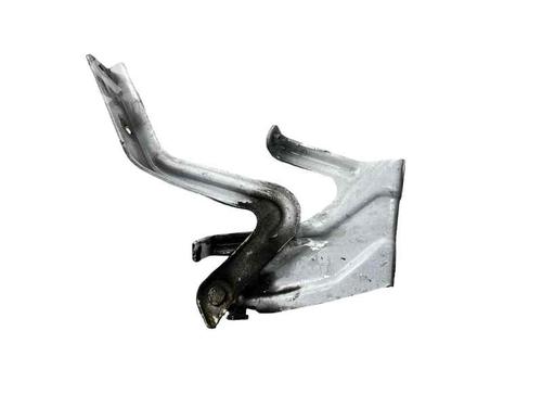 Hinge/Door check strap NISSAN LEAF (ZE1) Electric | BP31940238C146