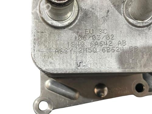 Used Oil radiator Oil radiator FORD FOCUS I (DAW, DBW) 1.4 16V (75 hp) 24223524 24223524