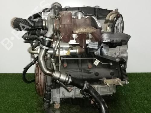 Engine FORD MONDEO III (B5Y)  | BP31683772M1 