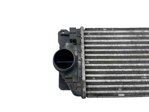 Intercooler / Chłodnica powietrza doładowującego MERCEDES-BENZ SPRINTER 3,5-t Van (B906) 313 CDI (906.631, 906.633, 906.635, 906.637) | BP29993754M30