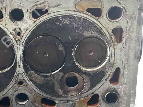  - Image 5
