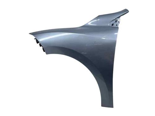 Forskærm venstre RENAULT MEGANE III Hatchback (BZ0/1_, B3_) 1.5 dCi (106 hp) 30051771