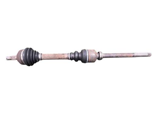  - Image 4