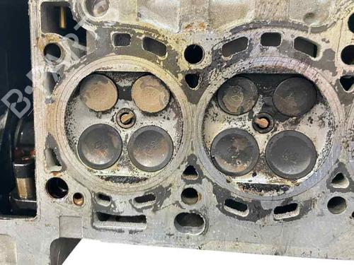 Cylinder head NISSAN ALMERA II Hatchback (N16) 1.5 | BP29448917M5 