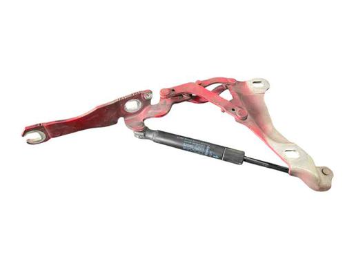 hingedoor-check-strap-mini-mini-r56-2005-2006-2007-2008-2009-2010-2011-2012-2013-2014-24353600 main image