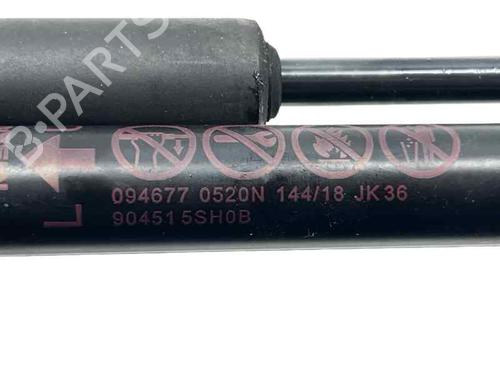 tailgate-lift-support-nissan-leaf-ze1-2017-31940244 main image