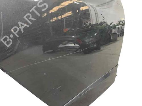 Right rear door RENAULT SCÉNIC III VAN (JZ0/1_) 1.4 TCe (JZ0F, JZ1V) | BP25211461C5