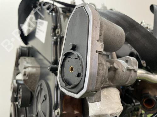 Engine FORD MONDEO III (B5Y)  | BP31684260M1 