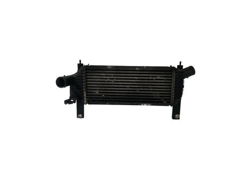 Used Intercooler Intercooler NISSAN PATHFINDER III (R51) 2.5 dCi (174 hp) 25211132 25211132