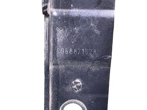 hingedoor-check-strap-citroen-c5-iii-rd_-2008-2009-2010-2011-2012-2013-2014-2015-2016-2017-24353148 main image