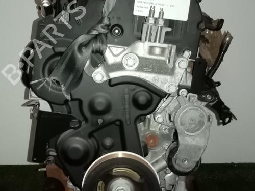 Engine FORD FIESTA VI (CB1, CCN) | BP31683833M1 - Image 4